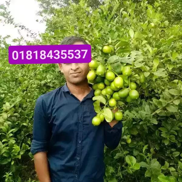 WhatsApp-Image-2025-03-16-at-4.03.48-PM-2.jpeg